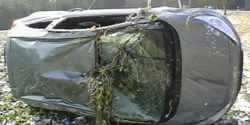 IMG0045A.jpg