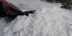 20220403_085714.jpg