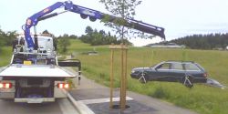 IMG0103A.jpg